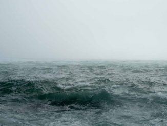 Sturm