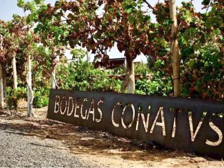 Bodegas Conatvs Fuerteventura