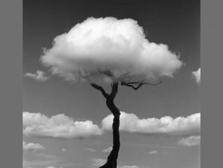 Baum Wolke Chema Madoz