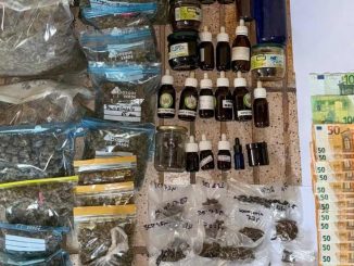cannabis plantage Puerto del Rosario