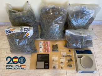 Cannabis Polizei