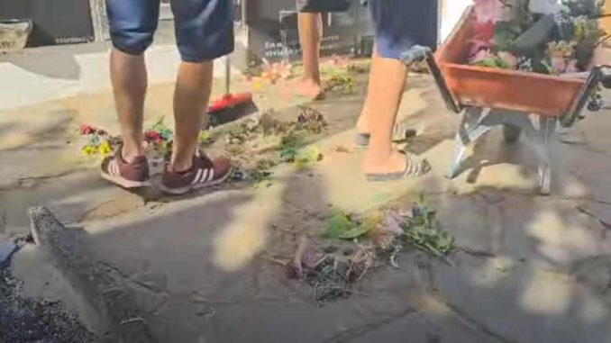 Friedhof ausgerissene Blumen