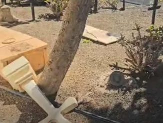 Umgestuerztes Kreuz Friedhof Fuerteventura