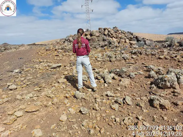 Schwarzer Monat für geschützte Vögel auf Fuerteventura wegen Kollisionen mit Stromleitungen 1 Agente Medio ambiente web