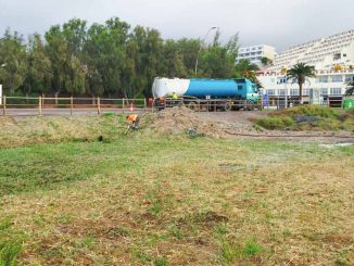 Schilf Saladar Pilotprojekt