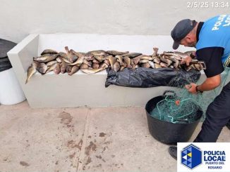 Polizei erwischt Fischwilderer mit illegalem Stellnetz bei Puerto Lajas auf Fuerteventura 1 Fischwilderer Stellnetz