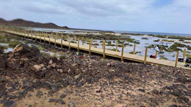 Cabildo de Fuerteventura schreibt Wartungsvertrag für Insel Lobos neu aus 1 Lobos Holzsteg
