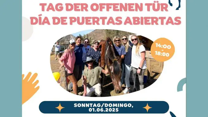 Tag_offene_Tuer_Amicab_2025