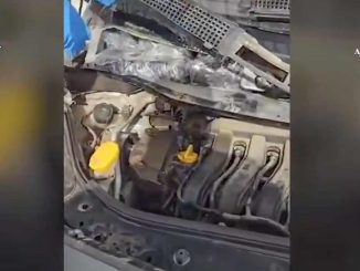 Haschisch Motorraum Fuerteventura