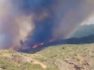 Waldbrand Teneriffa