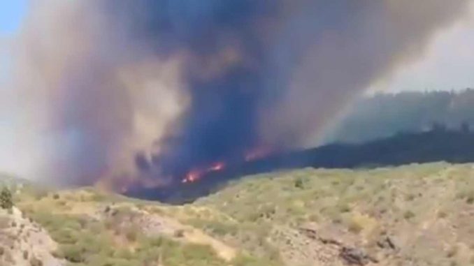 Waldbrand-Teneriffa