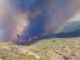 Waldbrand Teneriffa
