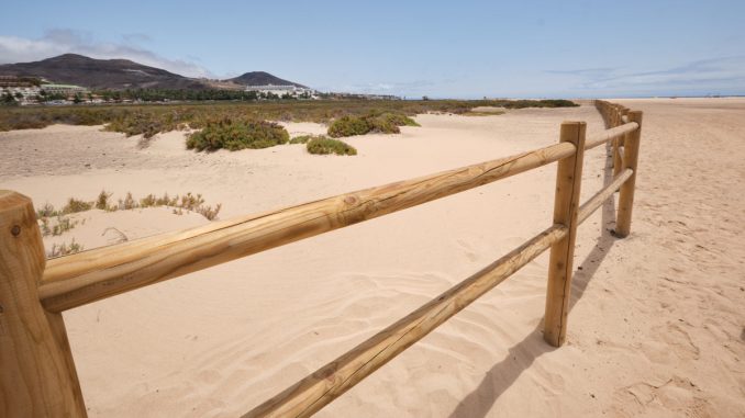 Fuerteventura: Fast ein Kilometer Schutzzaun für Saladar de Jandía erneuert 1 Zaun Saladar Jandia