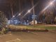 umgestuerzte Palme Jandia Strasse