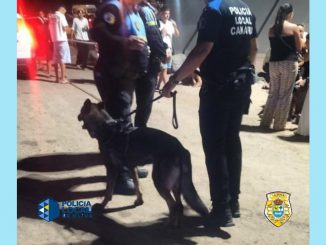 Hundestaffel La Oliva Carpa2025