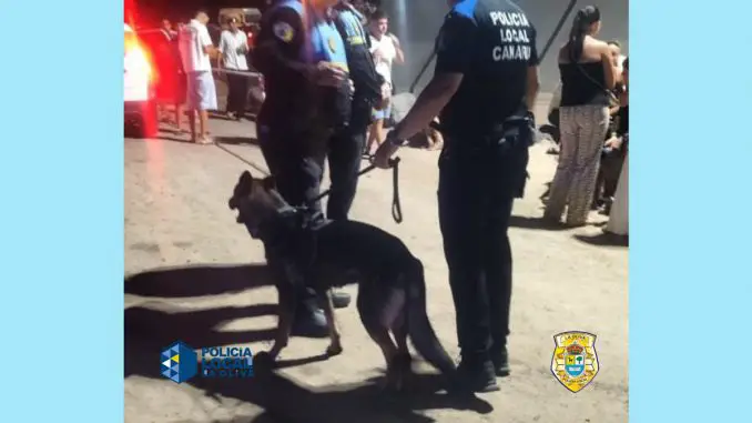 Fuerteventura: Polizeihunde sorgen für Sicherheit bei Großevent „La Carpa 2025“ in Pájara 1 Hundestaffel La Oliva Carpa2025