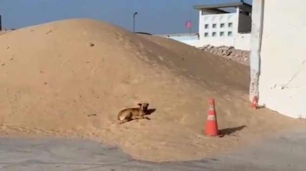 Sand-Westsahara