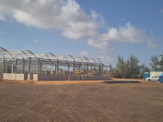 Gewaechshaueser Biologische Station La Oliva