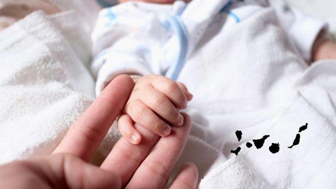 erste_Geburt_Kanaren_2026