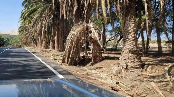 Gemeinde und Cabildo entfernen 800 Tonnen Bauschutt im Süden von Fuerteventura 1 260217 noerdliche Zufahrt Costa Calma