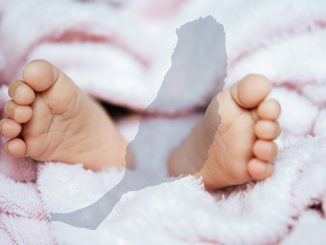 Baby fuerteventura web