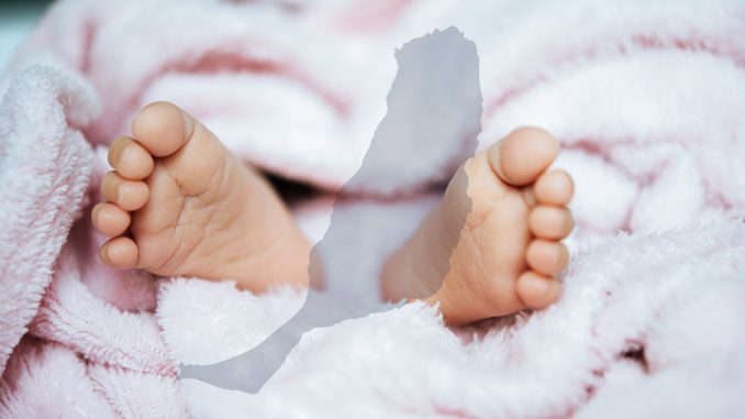 Baby_fuerteventura_web