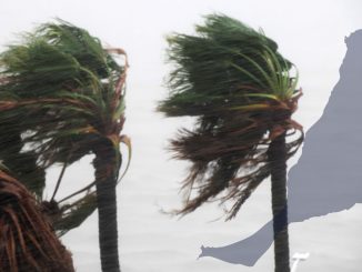 Fuerteventura Palmen Wind Regen