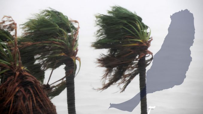 Fuerteventura Palmen Wind Regen
