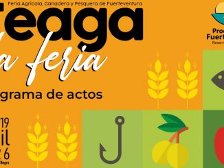 FEAGA 2026 web