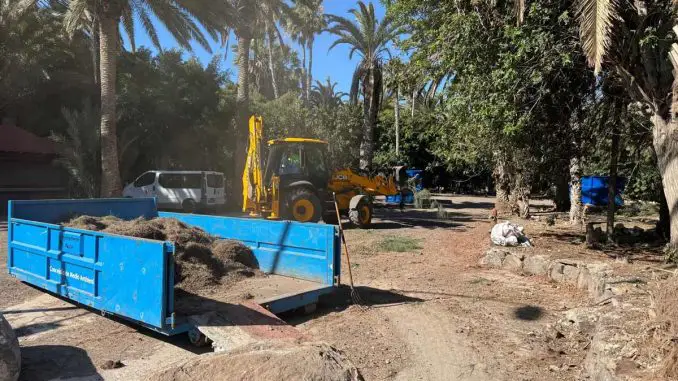 Säuberung-Palmenwald-Costa-Calma