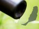 Bakterien Wasser Landwirtschaft Fuerteventura