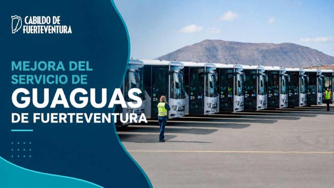 Ausbau-Bus-Cabildo