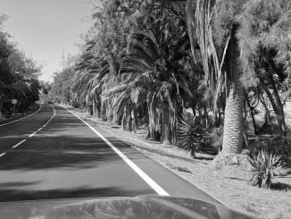 Costa Calma web