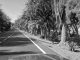 Costa Calma web