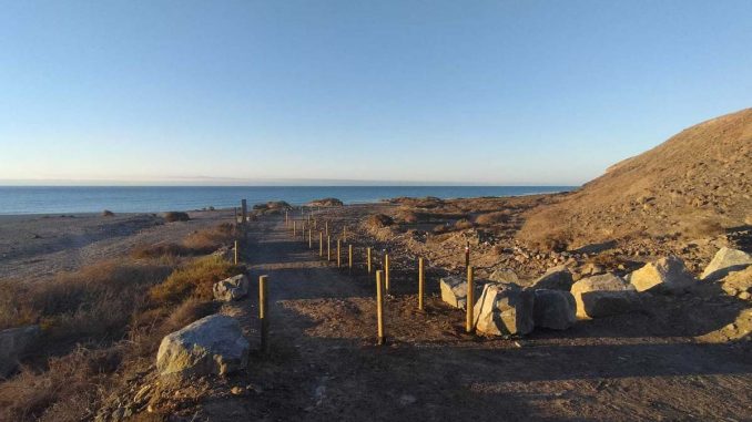 Holzpoller_Playa_del_Salmo