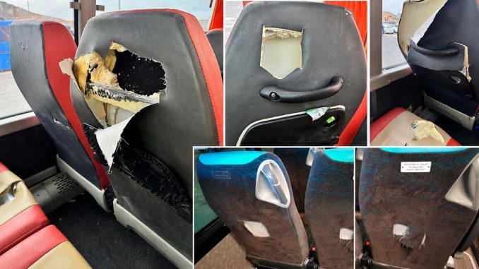 Vandalismus_Busse_Fuerteventura