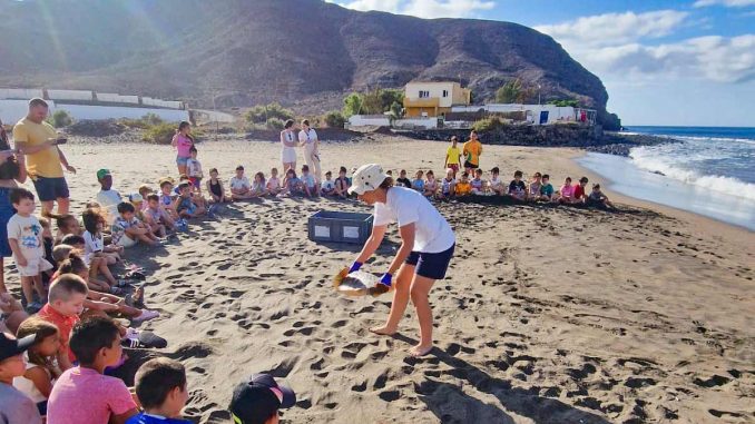 Kennen um zu schuetzen Schildkroete Kinder Strand