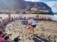 Kennen um zu schuetzen Schildkroete Kinder Strand