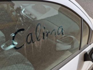 Calima Autoscheibe