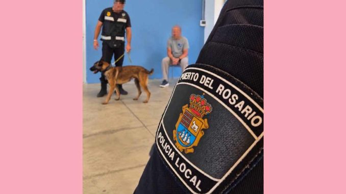 Hundestaffel-Puerto-del-Rosario