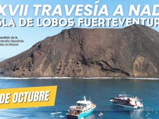 Freiwasserschwimmen Lobos Corralejo